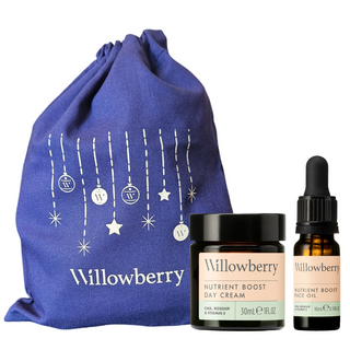 Willowberry Mini Hydrate & Glow Christmas Gift