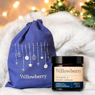 Willowberry Vitamin C Night Cream Christmas Gift