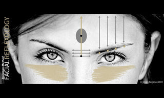 facial reflexology face map bergman method