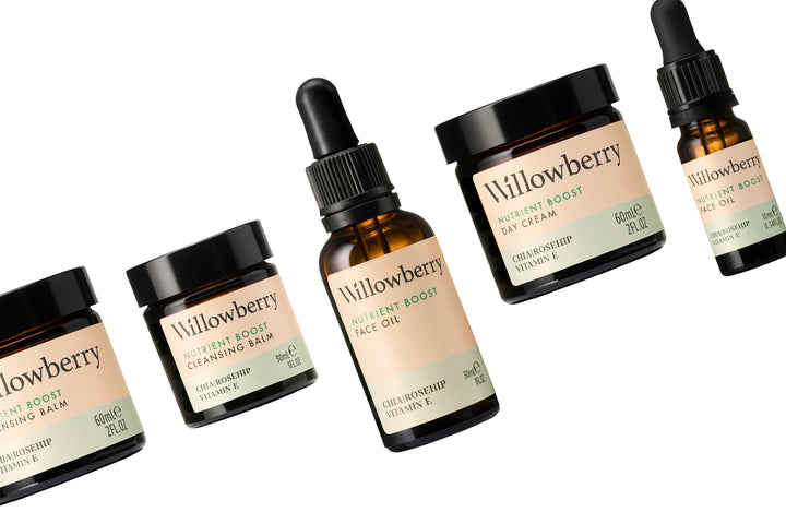 Willowberry's brand new look