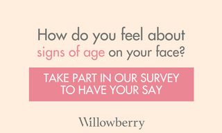 Willowberry skincare survey 2024 signs of age on your face