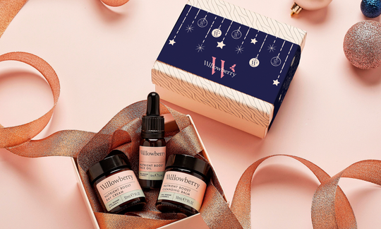 aromatherapy gift sets for christmas