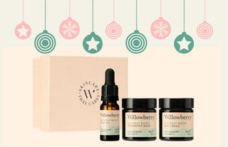 Christmas gift guide