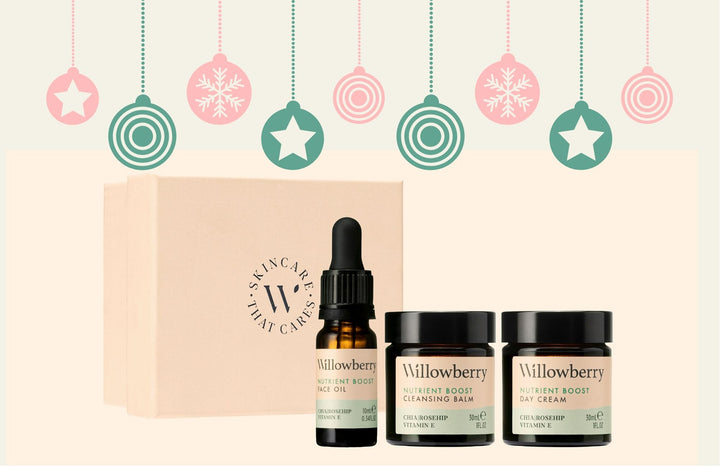 Christmas gift guide