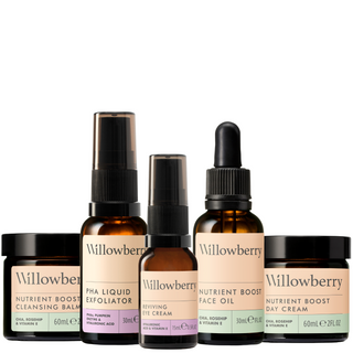 Willowberry Morning Skin Routine Bundle