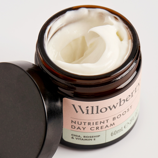 Willowberry Nutrient Boost Day Cream Christmas Gift